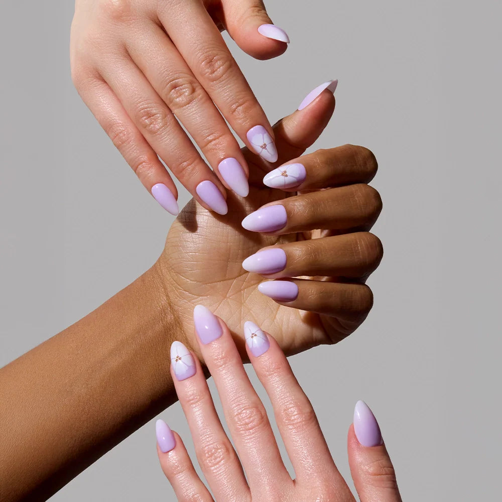 Lilac Reef